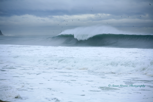 large breaking wave, redondo beach CA
